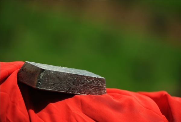 95bc7e371ec24cfba32775404eab2750